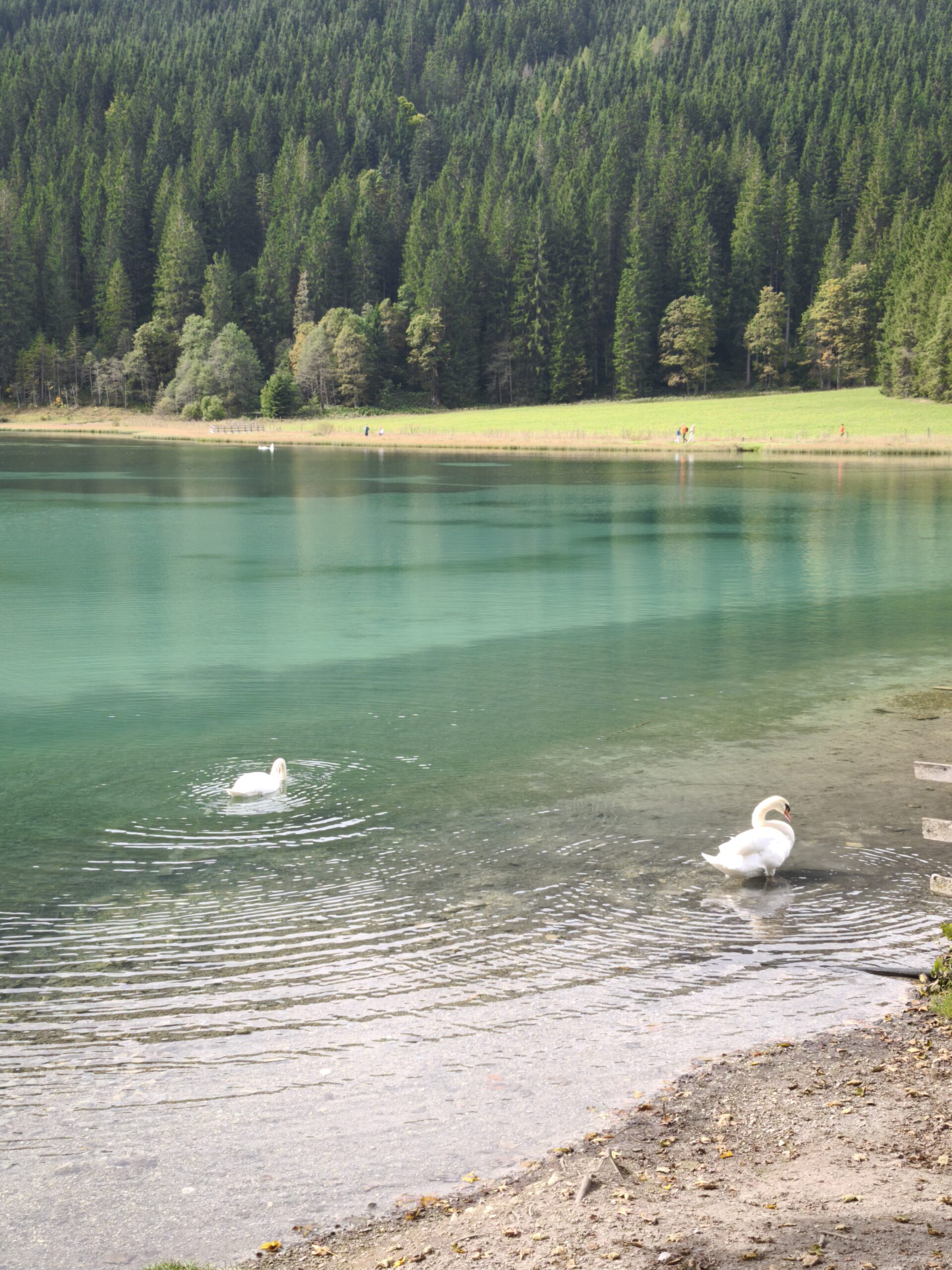 services-04 IMG 20250923 121606 Scaled