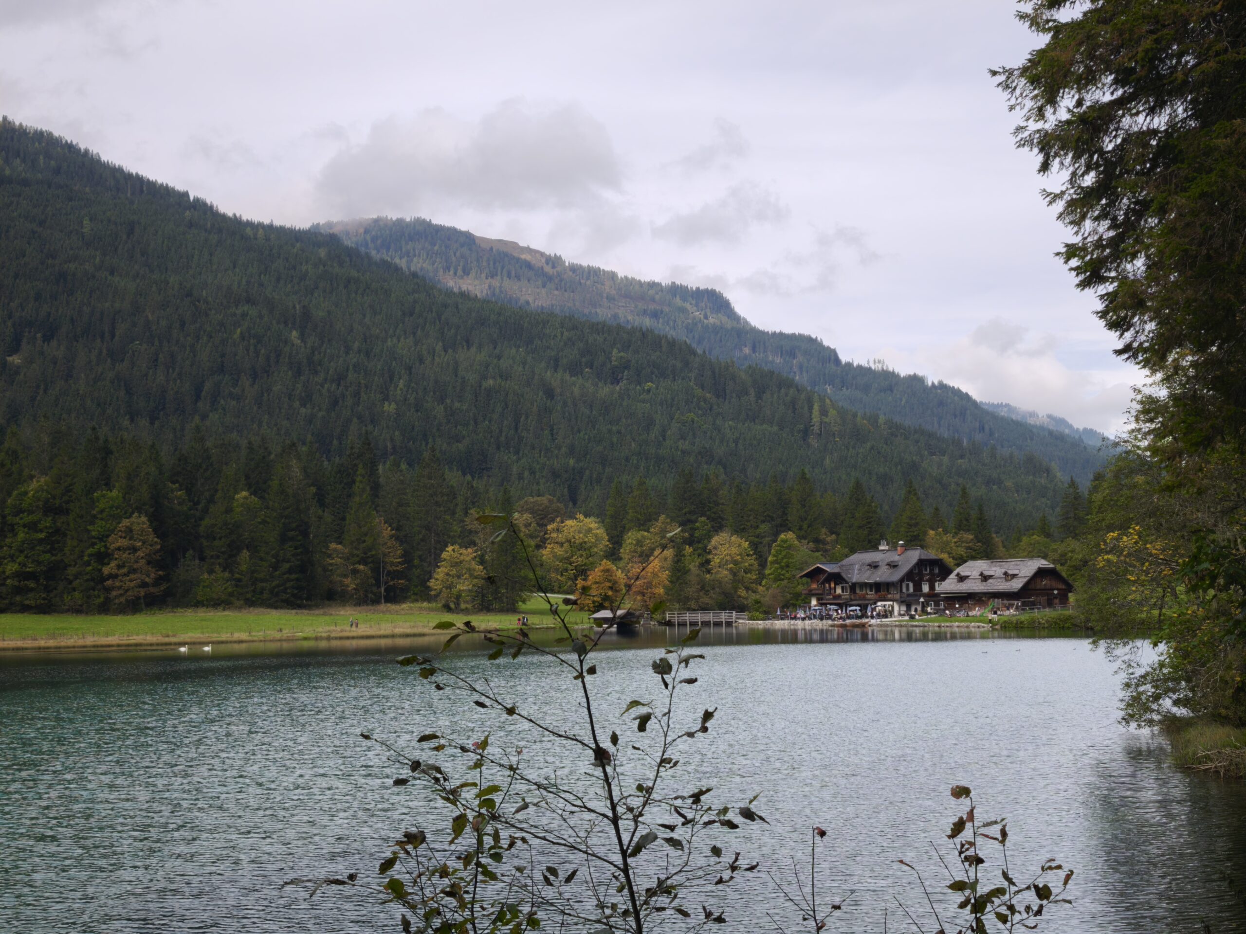 services-02 IMG 20250923 122149 Scaled